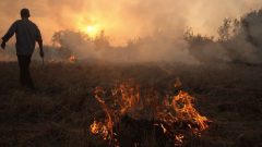 آتش زدن بقایای گیاهی پس از برداشت محصول ممنوع است