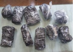 کشف ۲۷ کیلوگرم مواد مخدر در استان اردبیل