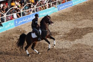 سومین شوی سواره اسبهای فلات ایران در سرعین+فیلم